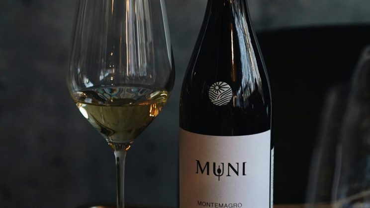 Vin gastronomique : accord parfait pour sublimer vos repas